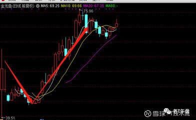 金龙鱼新股股吧（金龙鱼市场竞争力分析） 龙鱼百科 第3张