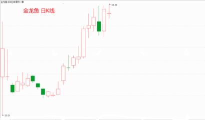金龙鱼新股股吧（金龙鱼市场竞争力分析） 龙鱼百科 第4张