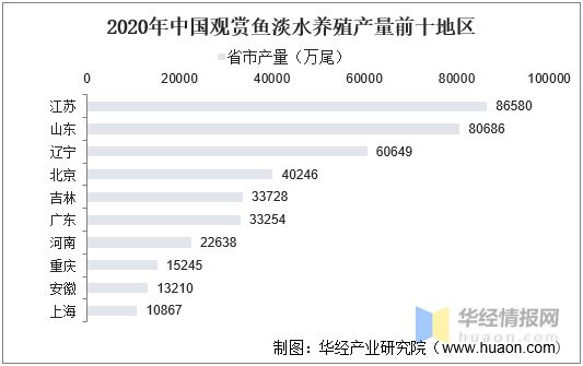 观赏鱼行业政策法规解读（观赏鱼行业的政策法规） 观赏鱼市场（混养鱼） 第5张