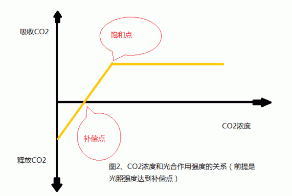 观赏鱼恐龙鱼能繁殖吗（恐龙鱼的繁殖周期是怎样的，恐龙鱼的繁殖成功率是多少） 水族问答