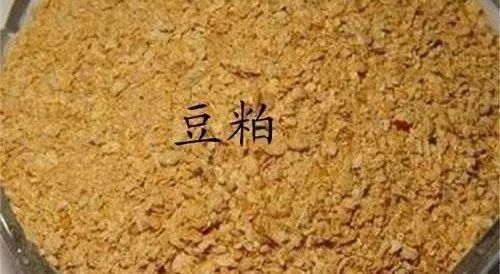 成鱼期饲料营养成分解析（关于成鱼期饲料的营养成分的解析） 观赏鱼市场（混养鱼） 第5张