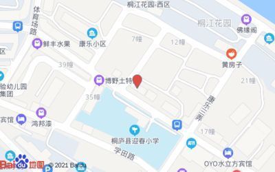 地图鱼与银版鱼活动层差异（地图鱼与银龙鱼混养的日常管理技巧） 观赏鱼市场（混养鱼） 第4张