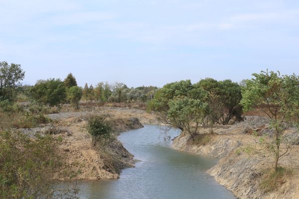 肺鱼栖息地保护措施（肺鱼栖息地保护） 观赏鱼市场（混养鱼） 第3张