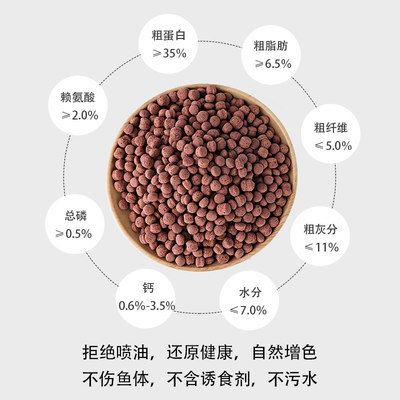 如何自制龙鱼饲料配方（自制龙鱼饲料的配方及其制作方法） 龙鱼百科 第3张