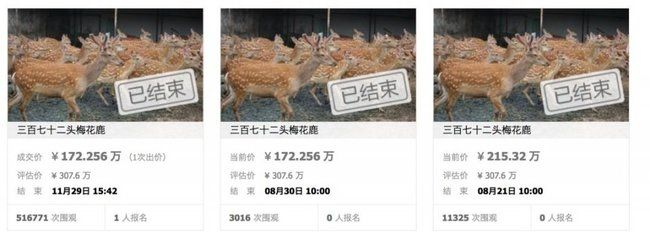 金龙鱼最高成交价（金龙鱼在拍卖市场上的最高成交价1.58亿元）