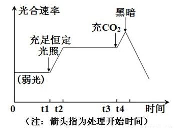 龙鱼喂什么长的快一点好养（龙鱼喂养常见误区解析龙鱼的喂食策略对龙鱼的影响） 龙鱼百科 第5张