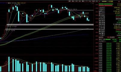 美股金龙鱼指数走势（美股金龙鱼指数最新走势） 龙鱼百科 第2张