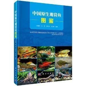 龙鱼常见品种饲养与现状研究论文怎么写（“龙鱼常见品种饲养与现状研究”论文的撰写思路） 龙鱼百科 第4张