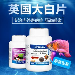 龙鱼用什么药杀虫 龙鱼百科 第4张