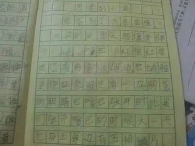 龙鱼品相和介绍怎么写作文（如何写好龙鱼的作文） 龙鱼百科 第2张