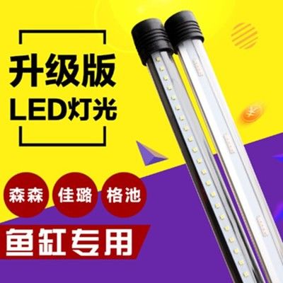 龙鱼灯led和灯管（龙鱼灯led与灯管的区别）