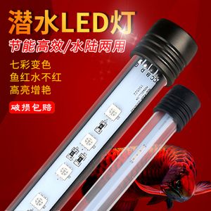 龙鱼灯led和灯管（龙鱼灯led与灯管的区别）