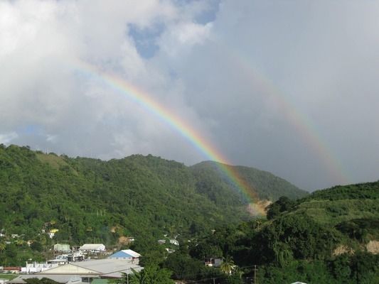 七星雷龙鱼好养吗怎么养（七星雷龙鱼最佳饲料品牌，七星雷龙鱼繁殖技巧分享） 龙鱼百科 第5张