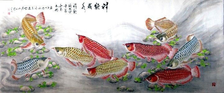 擅长画金龙鱼的画家（一位擅长画金龙鱼的画家） 龙鱼百科 第5张