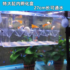 龙岩金龙鱼有限公司怎么样呀（龙岩金龙鱼有限公司） 水族问答