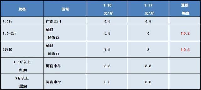 六角龙鱼断手断脚怎么办?（六角龙鱼断手断脚后的伤口愈合需要多久时间护理） 水族问答