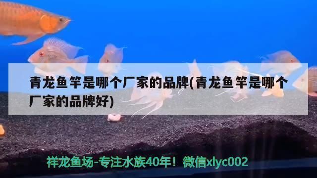 青龙鱼竿是哪个厂家的（天元青龙鱼竿使用体验,光威青龙鲟鱼竿的价格对比） 龙鱼百科 第1张