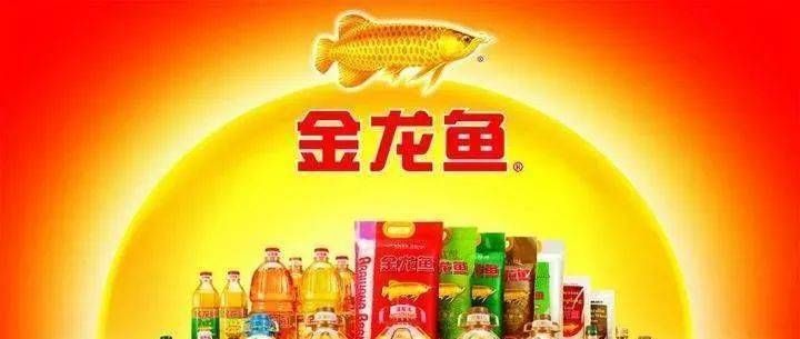 金龙鱼叶斌（上海嘉里食品工业有限公司金龙鱼叶斌） 龙鱼百科 第4张