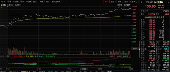 金龙鱼指数行情走势（金龙鱼指数今日收盘价为33.50元/股，较前一交易日上涨1.2%） 龙鱼百科 第4张