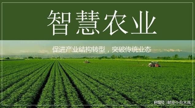 红龙鱼鱼苗多少钱一只（红龙鱼鱼苗的价格通常受什么因素影响红龙鱼的寿命有多长） 水族问答