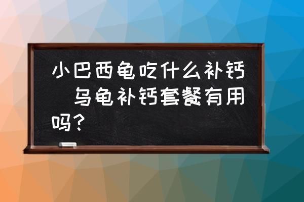 蓝鲨能和龙鱼混养吗（如何确保蓝鲨不会攻击或伤害龙鱼？） 水族问答