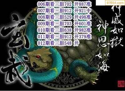 龙鱼混养四大神兽一般养几只（龙鱼混养四大神兽一般建议养2-4只） 龙鱼百科 第5张