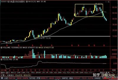 金龙鱼行情走势分析最新 龙鱼百科 第1张