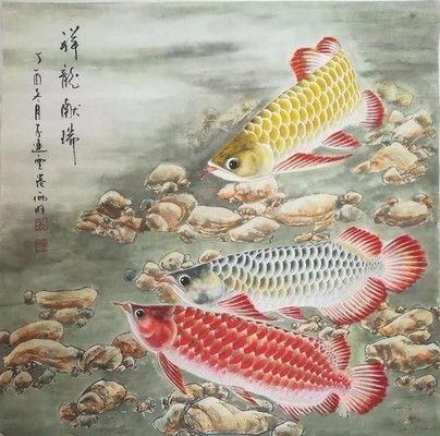 金龙鱼国画作品（张利宏金龙鱼国画作品《金龙鱼国画作品赏析：金龙鱼》）