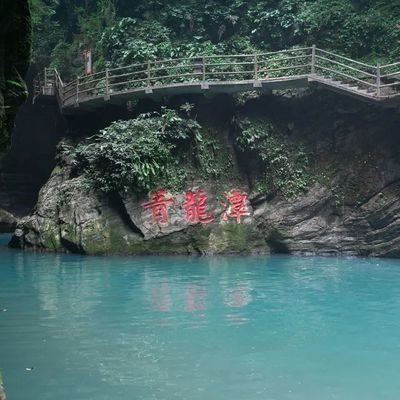 青龙鱼业门票多少钱（青龙鱼业门票价格是多少） 龙鱼百科 第4张