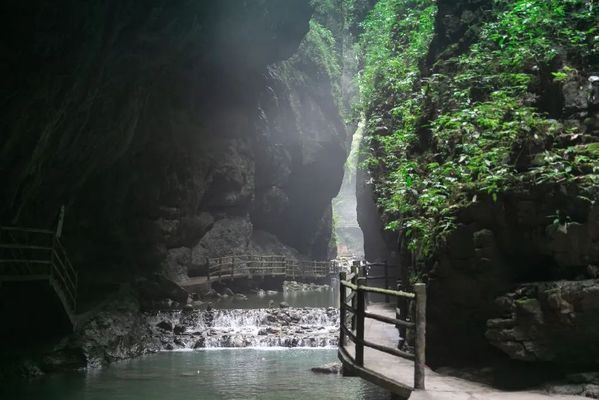 青龙鱼业门票多少钱（青龙鱼业门票价格是多少） 龙鱼百科 第3张