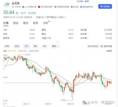 金龙鱼行情分析（金龙鱼股价波动与市场分析） 龙鱼百科 第1张