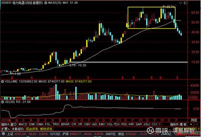 金龙鱼行情分析（金龙鱼股价波动与市场分析） 龙鱼百科 第4张