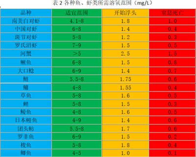 金龙鱼多大就不会掉眼了呀（金龙鱼在幼年时期可能会因为掉眼现象而面临问题） 水族问答