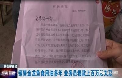 金龙鱼销售业务员待遇如何（金龙鱼销售业务员晋升条件） 龙鱼百科 第4张