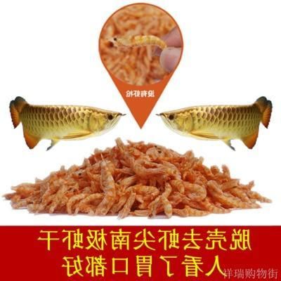 龙鱼吃鱼粮吗（龙鱼专用鱼粮品牌推荐龙鱼活饵喂养技巧如何判断龙鱼鱼粮质量） 龙鱼百科 第5张