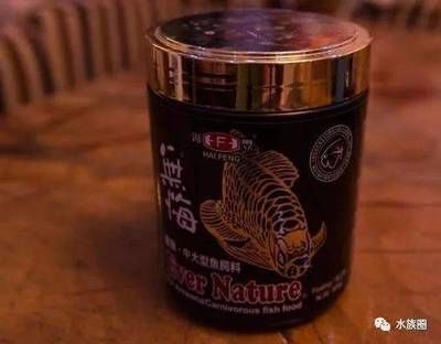 龙鱼吃颗粒吗（如何判断龙鱼是否营养不良，龙鱼适应颗粒饲料的技巧） 龙鱼百科 第3张