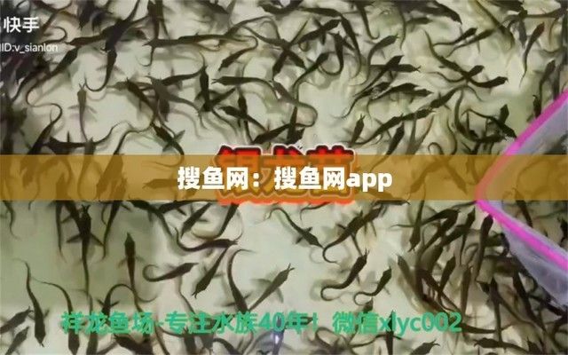 龙鱼商城网站登录官网（龙鱼商城网站介绍） 龙鱼百科 第1张