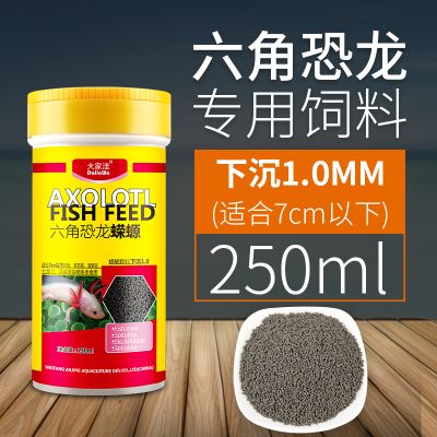 六角恐龙鱼饲料 龙鱼百科 第2张