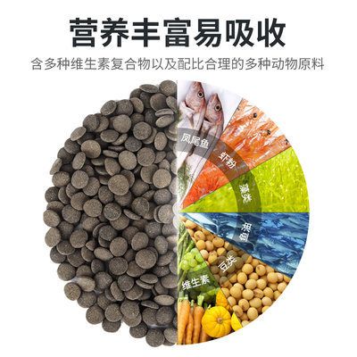 六角恐龙鱼饲料 龙鱼百科 第4张