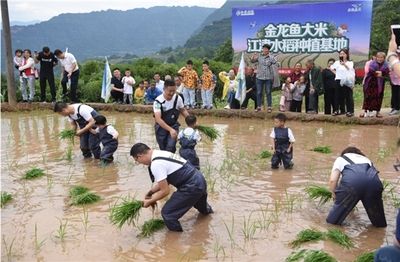 金龙鱼种植基地地址（金龙鱼种植基地位于中国广东省佛山市南海区具体地址） 龙鱼百科 第2张