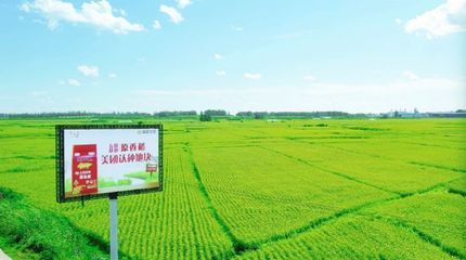 金龙鱼种植基地地址（金龙鱼种植基地位于中国广东省佛山市南海区具体地址） 龙鱼百科 第4张