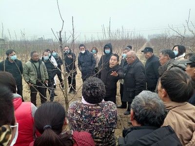 龙鱼的水温多少合适（如何为龙鱼提供最适宜的水温范围？） 水族问答 第1张