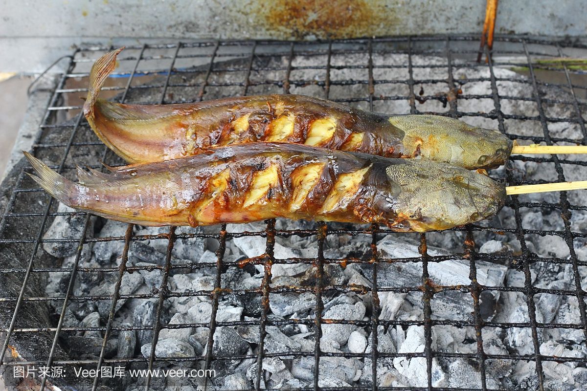 龙鱼是河鱼还是海鱼（东南亚龙鱼分布区域,龙鱼饲料选择指南,淡水龙鱼养殖技巧） 龙鱼百科 第4张