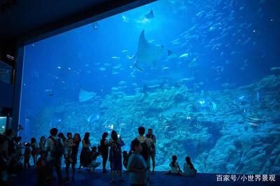 用户反馈对水族馆运营影响（用户反馈对水族馆的影响）