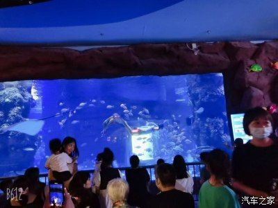 用户反馈对水族馆运营影响（用户反馈对水族馆的影响）