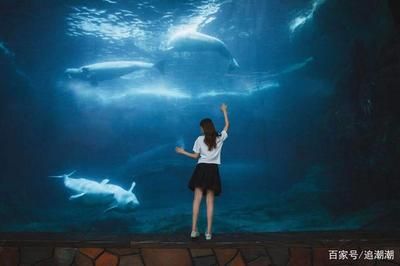 用户反馈对水族馆运营影响（用户反馈对水族馆的影响） 水族馆百科（水族馆加盟） 第4张