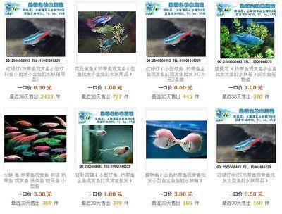 祥龙水族馆海洋生物科普课程（海洋生物科普课程）