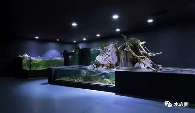 水族馆内岩石造景建议（水族箱岩石造景案例分享，）