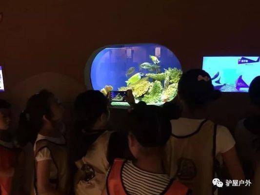 夜间水族馆特别活动内容（夜间水族馆特别活动是一项吸引游客的独特体验） 水族馆百科（水族馆加盟） 第2张