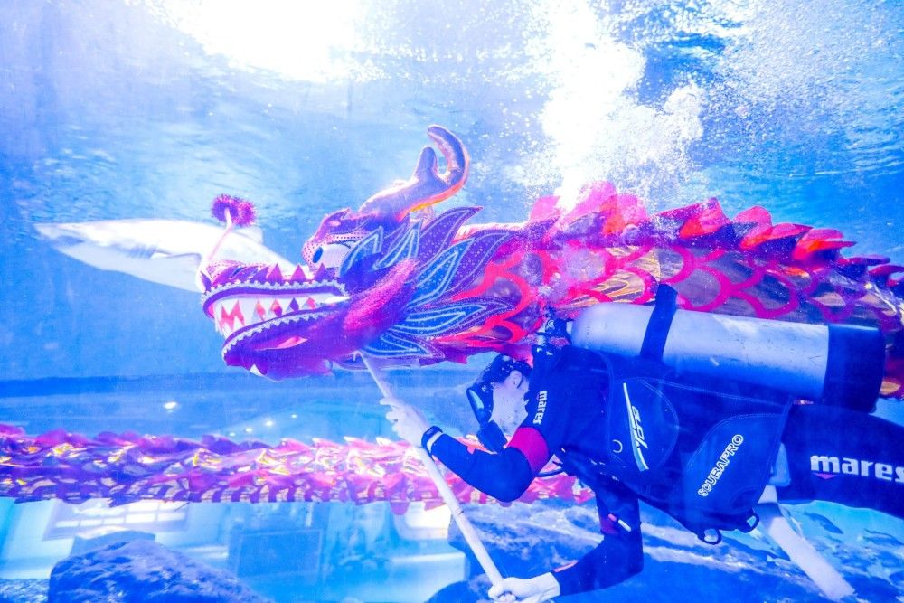 祥龙水族馆门票价格及优惠（祥龙水族馆门票价格及优惠信息）